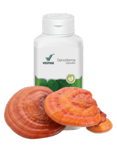 Vestige Ganoderma